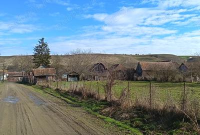 Casă cu 2 camere în Gura Arieșului - 3