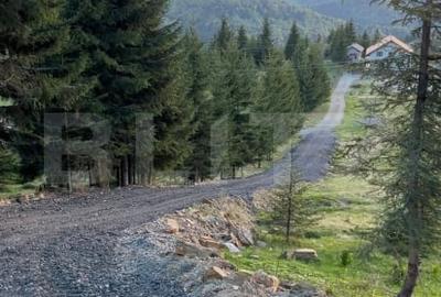 Teren extravilan cu priveliste - Tihuta Cota 1.201 - 2