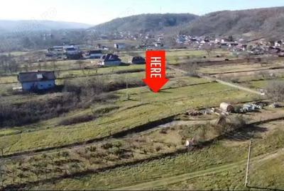 Teren 9000mp.deschidere 46ml., , Mierea Grajdana - 2