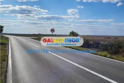 Teren Construcții intravilan de 17067 mp, în Petrăchioaia - 4