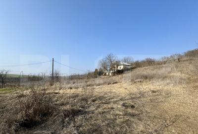 Conac cu teren intravilan 8759 mp, priveliste panoramica, Ci - 15