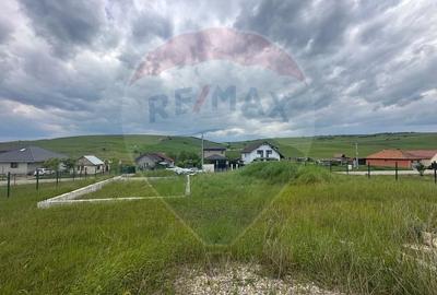 Teren Construcții intravilan de 916 mp, în Dezmir - 5