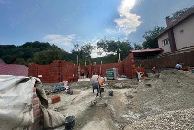 Casa, pensiune de vanzare in com cicanesti, AG,transfagarasan - 3