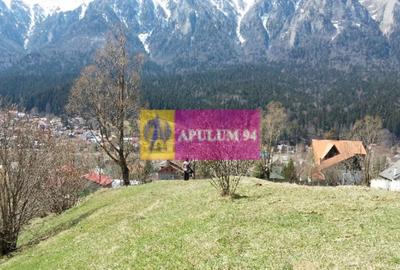 Teren de vânzare în Bușteni - Zona Zamora - 23