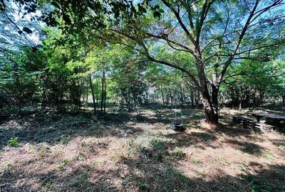 Teren intravilan 1500mp in Livedea, Ialomita - 7