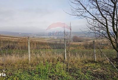 Spațiu comercial, în Fălticeni - 10
