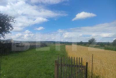 Teren intravilan la sosea, 6400 mp, Vicov de Sus - 2