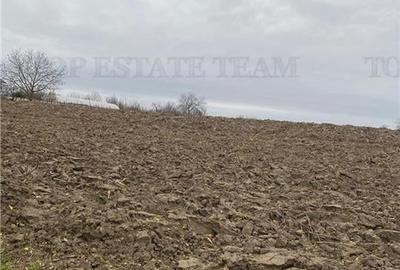 Teren 12223 mp in Prahova - 3