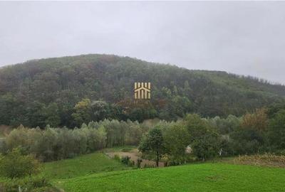 Casă cu 8 camere cu Teren 147 Mp în Pătrăuți - 3