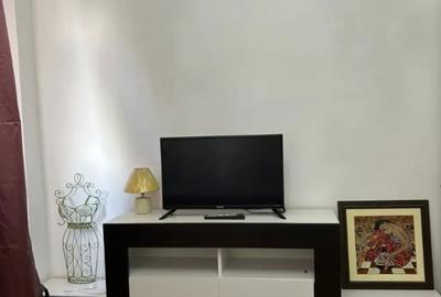 Apartament cu 2 camere semidecomandat în Rahova - 12