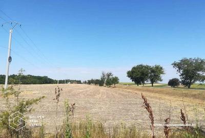 Teren intravilan, pentru constructii hale industriale, zona Pecica
