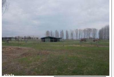 Spațiu comercial, de 91,412 mp, în Jebel - 11