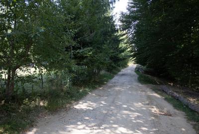 Investitie turistica unica - Bran Sohodol 10131mp-pe traseul Via Transilvanica - 15