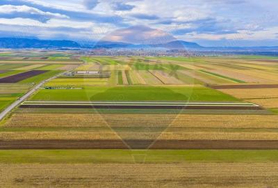 Teren 10,000mp Tarlungeni - 3