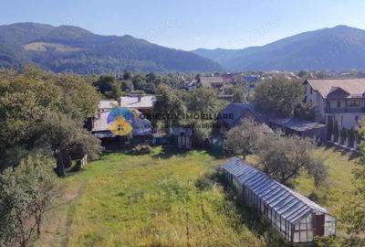 Casa tradi?ionala de vanzare - Alexandru cel Bun- view spre munte si lac - 17