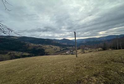 Spațiu comercial, în Albac - 2