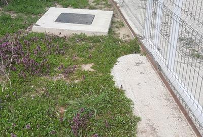 Teren de 1800 mp, în Dărăști-Vlașca - 2