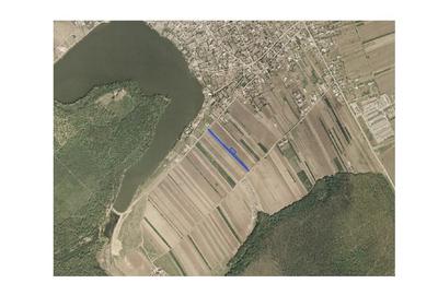 Teren agricol intravilan de 637 mp, în Brănești - 5