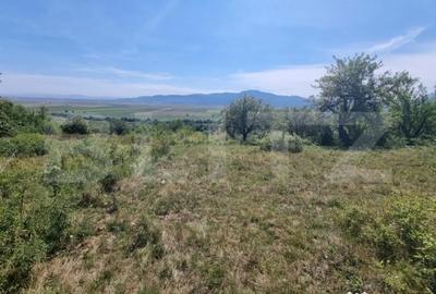 Teren de 3460 mp, în Central - 1