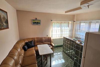 Casă cu 3 camere cu Teren 1060 Mp în Lunca (Băița) - 8