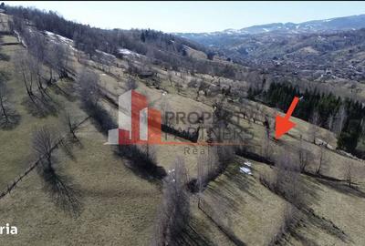 Spațiu comercial, în Moieciu - 7