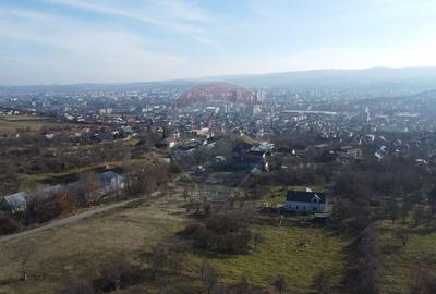 Teren agricol extravilan de 20146 mp, în Dâmbul Rotund - 18