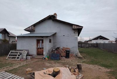 Casă cu Teren 3000 Mp în Mircea Vodă - 2