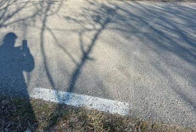 Teren extravilan cu gradina in Saliste - 7