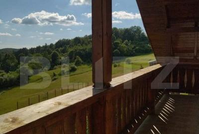 Cabana de vanzare in Stramba - 6