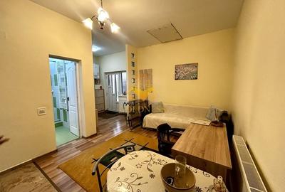 1 camera open space, 2 parcari, curte proprie, FSEGA, Iulius Mall - 3