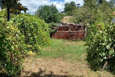 Casă cu 2 camere în Văgiulești - 1