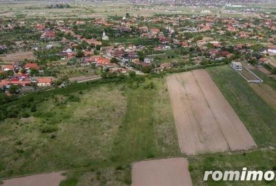 Teren extravilan 5000 mp Urseni, Timi? - 4