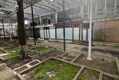 Spațiu comercial, de 50 mp, în Palazu Mare - 3