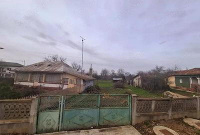 Crevedia - Darza , teren si casa batraneasca - 1