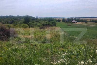 Teren intravilan Ardud Vii - 2