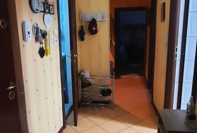 Apartament cu 3 camere decomandat în Sârbi - 10