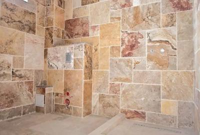 Casa D+P+2E+M zona Viticulturii (fostul CAP) Tulcea - 4