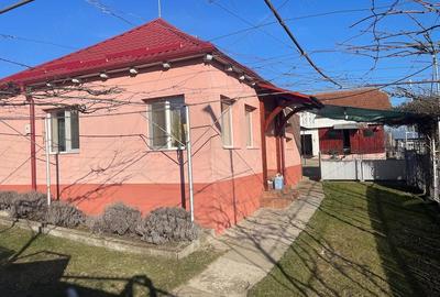 Casă cu 3 camere cu Teren 4381 Mp în Poduri - 7