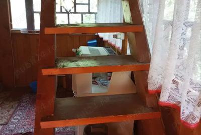 Casă cu 4 camere în Muntele Băișorii - 9