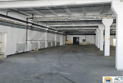 Spatiu industrial de inchiriat in Sibiu-Piata Cibin - 6