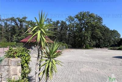 Hotel de inchiriat in Branesti - 15