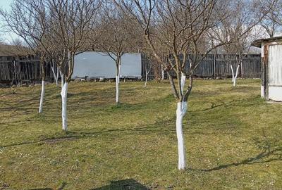 Casă cu 2 camere cu Teren 1200 Mp în Central - 7