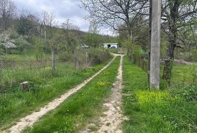 Casă cu 4 camere în Muereasca - 6