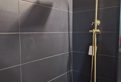 De vânzare Vilă individuala 11 camere curte proprie Parcul Carol - 11