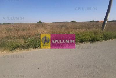 Teren de 1300 mp, în 1 Decembrie - 5