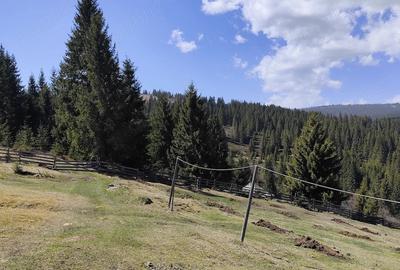 Casă cu 3 camere cu Teren 30 Mp în Poiana Horea - 1