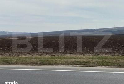 Teren de 6700 mp, în Șcheia