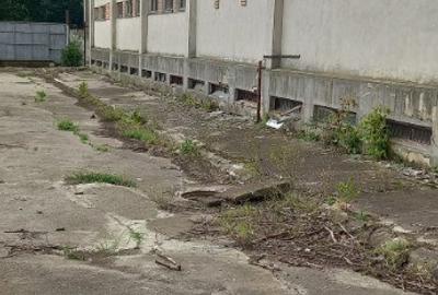 Activ de vanzare la 10 Km de Municipiul Braila ,3 Km de Dunare - 11