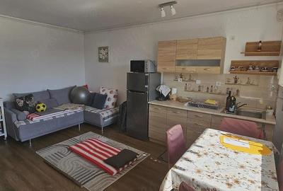 Garsonieră decomandată în Sud - 4