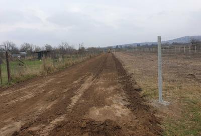 Teren de 8071 mp, în Lipănești - 6